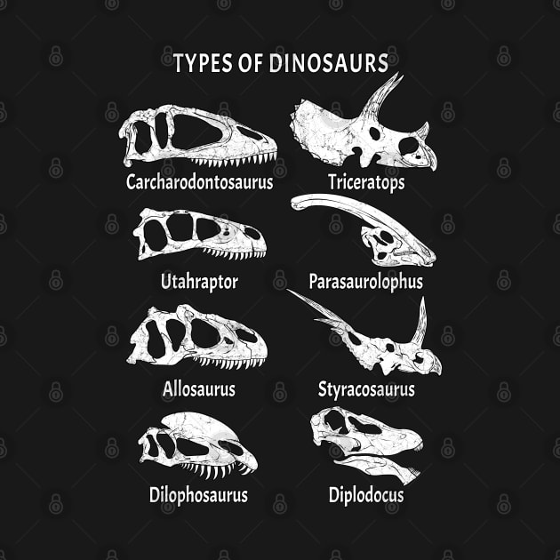 Types of Dinosaurs Table for Kids by NicGrayTees