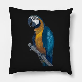 Blue + Yellow Macaw on a Twig Scientific Drawing Pillow