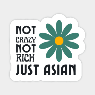 Not Crazy Not Rich Just Asian Magnet