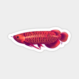 Arowana Magnet