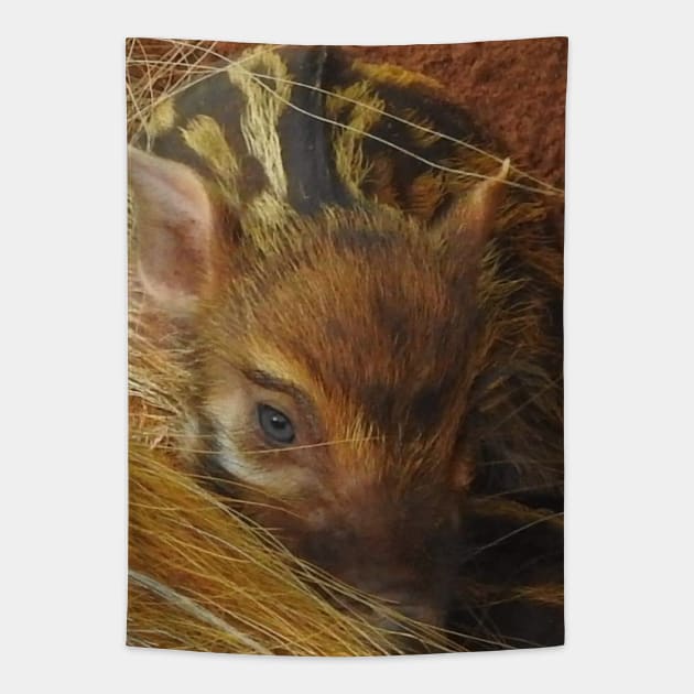 Red River Hog Piglet Tapestry by Sharonzoolady