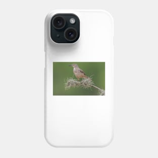 Portrait of a Long-billed thrasher Phone Case