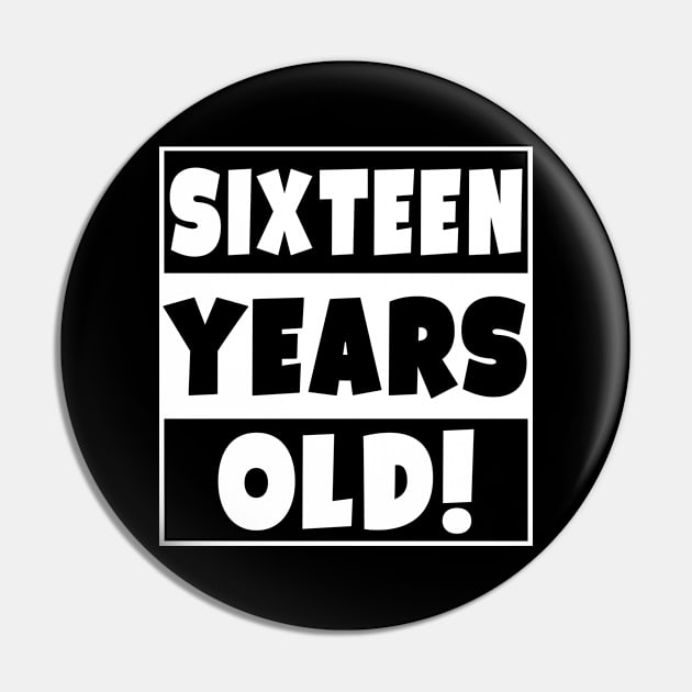 Sixteen Years Old Happy Birthday Party 16 Year Old Pin by Eyes4