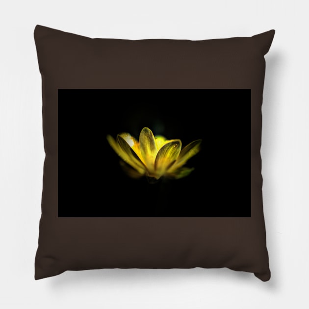 Buttercup Pillow by Nigdaw