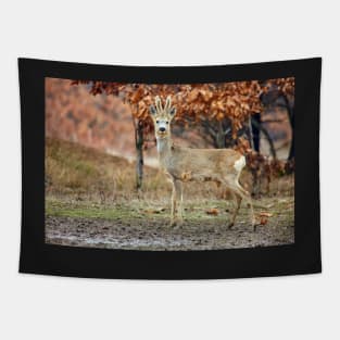 Roe deer family Tapestry