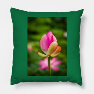 Lotus bud Pillow