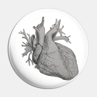 Pen and Ink and Anatomical Heart Illustration Pin