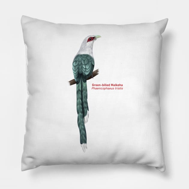 Green-billed Malkoha | Phaenicophaeus tristis Pillow by bona 