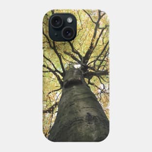 Treetop from Below Phone Case