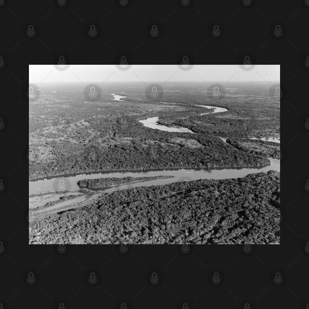 Vintage photo of Amazon Rainforest by In Memory of Jerry Frank