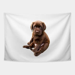 Chocolate Labrador Retriever Puppy Dog Tapestry