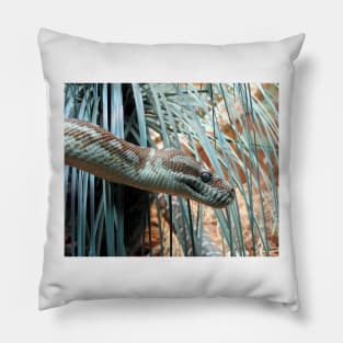 Centralian Carpet Python Pillow