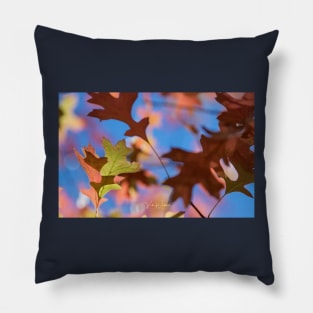 Autumn leaves from Honour Avenue, Mount Macedon, Victoria, Australia. Pillow