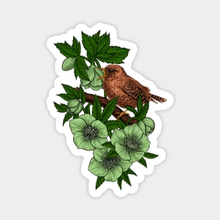 Wren and hellebore Magnet