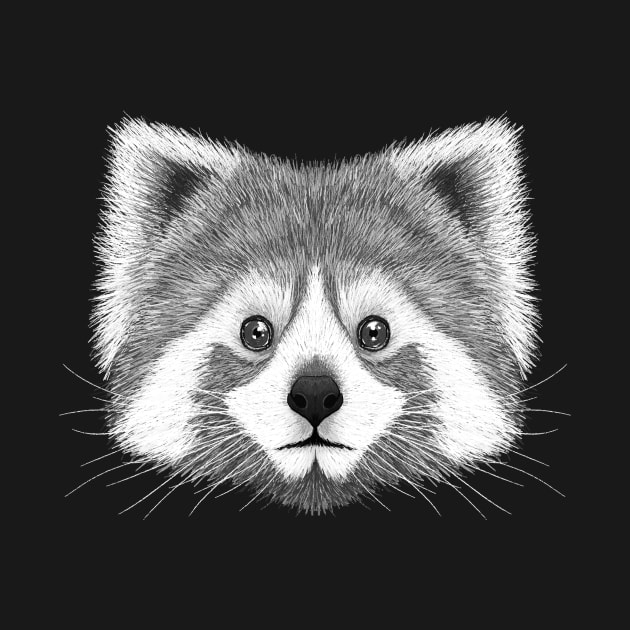 Red Panda B&W by Rohan Dahotre