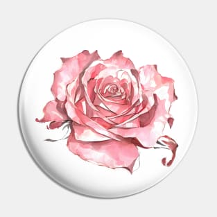 Romantic Blush Pink Isolated Rose Blossom Watercolor Artistic Rose Art Pin