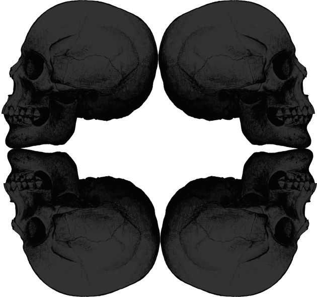 Skull Profile X4 BLACK Kids T-Shirt by skyskull