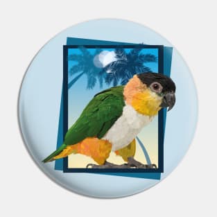 caique Pin