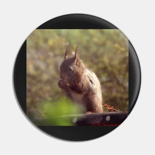 Red Squirrel Pin