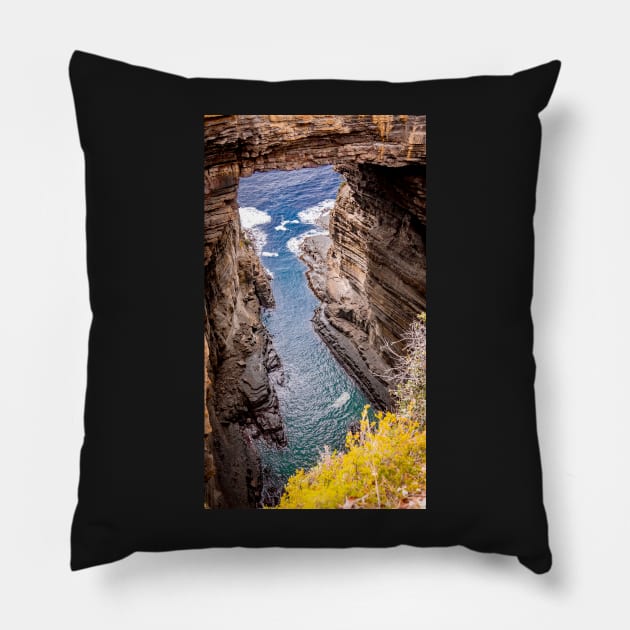 Tasmania Pillow by anothercoffee