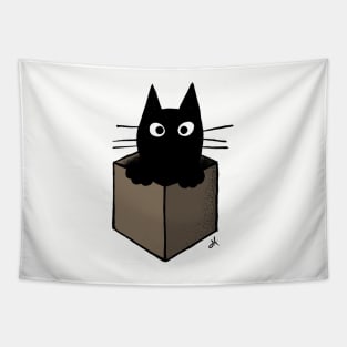 Black Cat in a Cardboard Box Tapestry