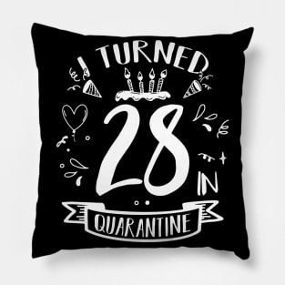 I Turned 28 In Quarantine Pillow