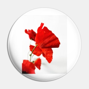 Red Poppies Pin