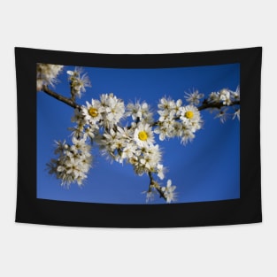 Daisies and Blackthorn Blossom Tapestry