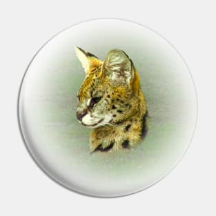 Serval portrait Pin