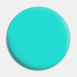 Turquoise Solid Color Pin