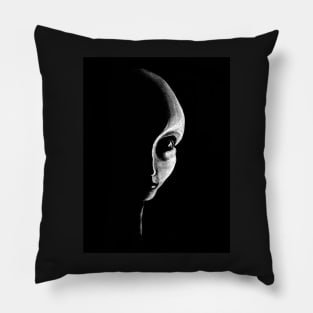 Jrooti Pillow