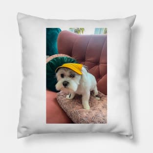 Funny white maltese dog in hat Pillow