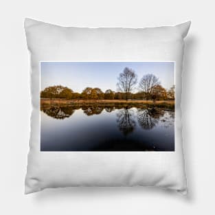 Richmond Park Morning Pillow