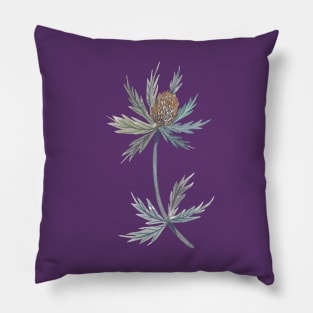 Eryngium Thistle Pillow