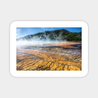 Miniature Forests on the Edge of Grand Prismatic Spring in Yellowstone National Park Magnet