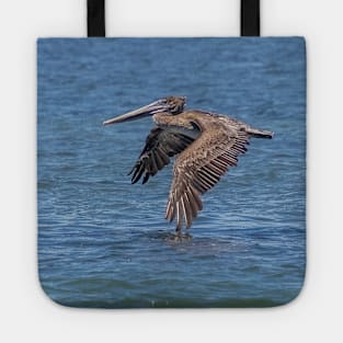 Flying Brown Pelican Touches Water with Wing Tote