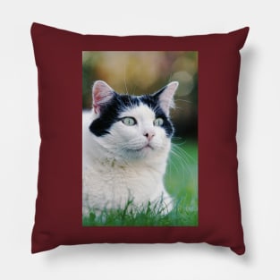 Les cats par Okaio Pirate's attitudes / expressions "human" 1 Pillow