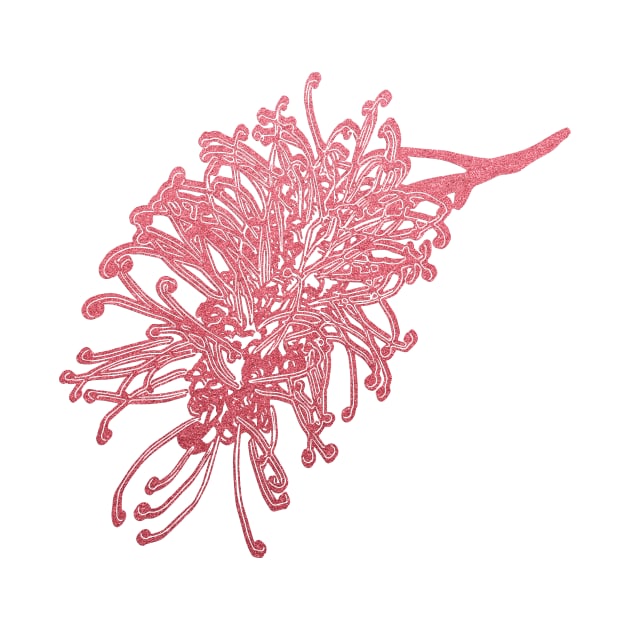 Australian Native Floral Illustration - A Beautiful Pink Grevillea Flower by annaleebeer