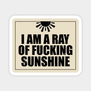 I Am a Ray Of Sunshine Funny Magnet