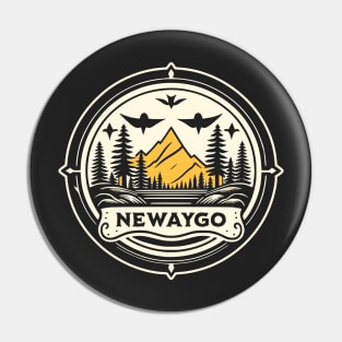 Newaygo State Park Michigan Pin