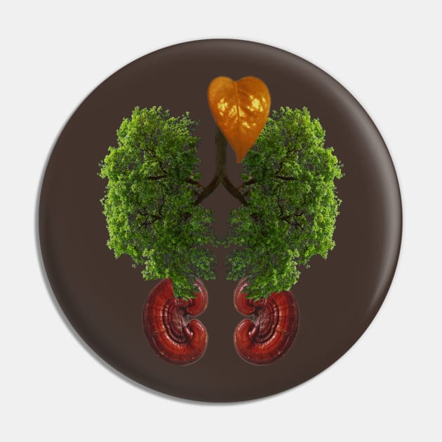 Natural organs Pin by smassico