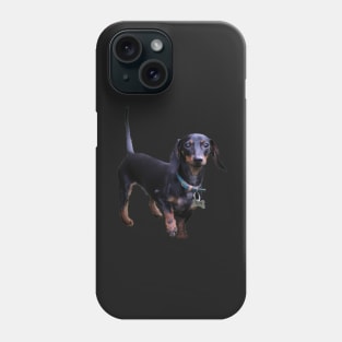 Tuff Dachshund sticker Phone Case