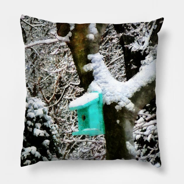 Turquoise Birdhouse in Winter Pillow by SusanSavad