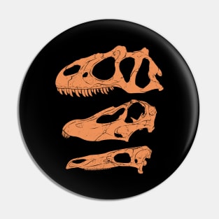 Allosaurus Diplodocus Stegosaurus fossil skulls Pin