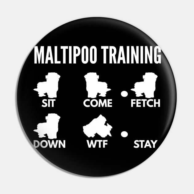 Maltipoo Training Maltipoo Tricks Pin by DoggyStyles