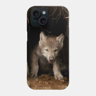 Eastern Wolf Pup Phone Case