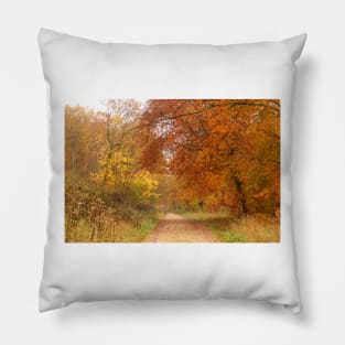 Forest Walk in Autumn Pillow