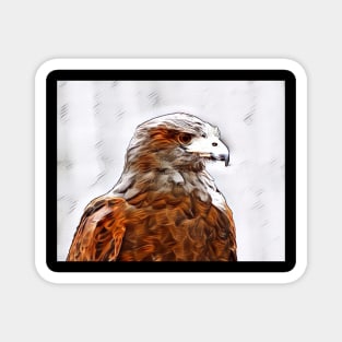 Beautiful Bald Eagle Watercolor Painting Magnet