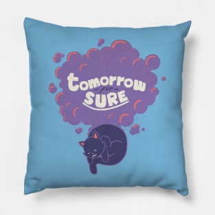 Tomorrow For Sure Pillow