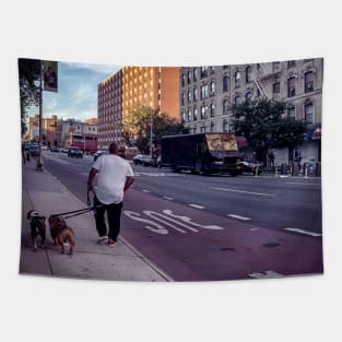 Second Ave, East Harlem, Manhattan, NYC Tapestry